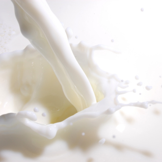 Milk flavor